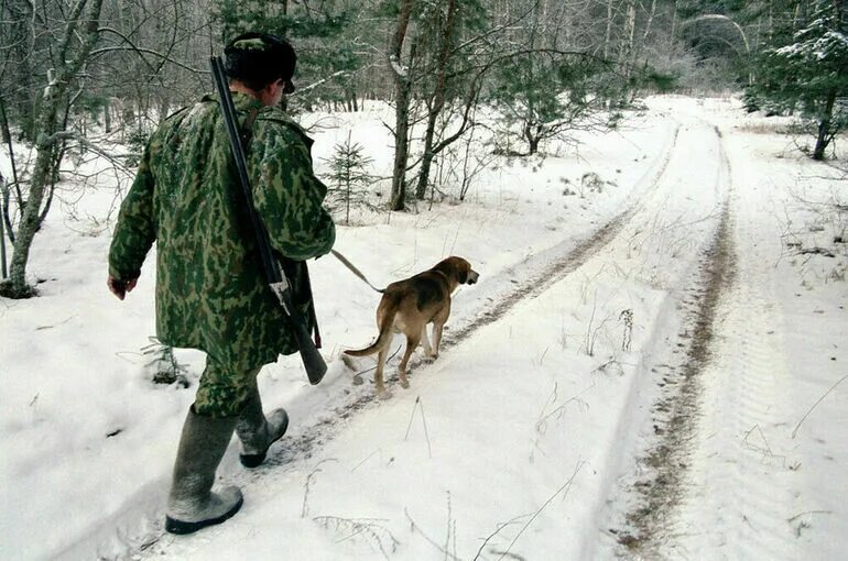 Охотничий инспектор. Охота. Вольерная охота в мире. Охотничий контроль.