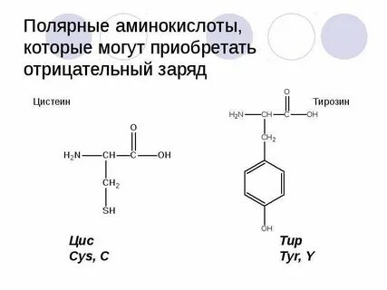 Отрицательный радикал