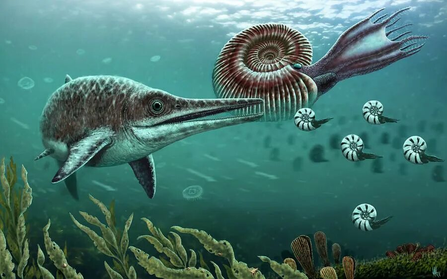 постепенно морской. иглокожие барьерный риф морская звезда. пурпурополосая медуза. морские ежи актинии. палеозойская эра ордовик.