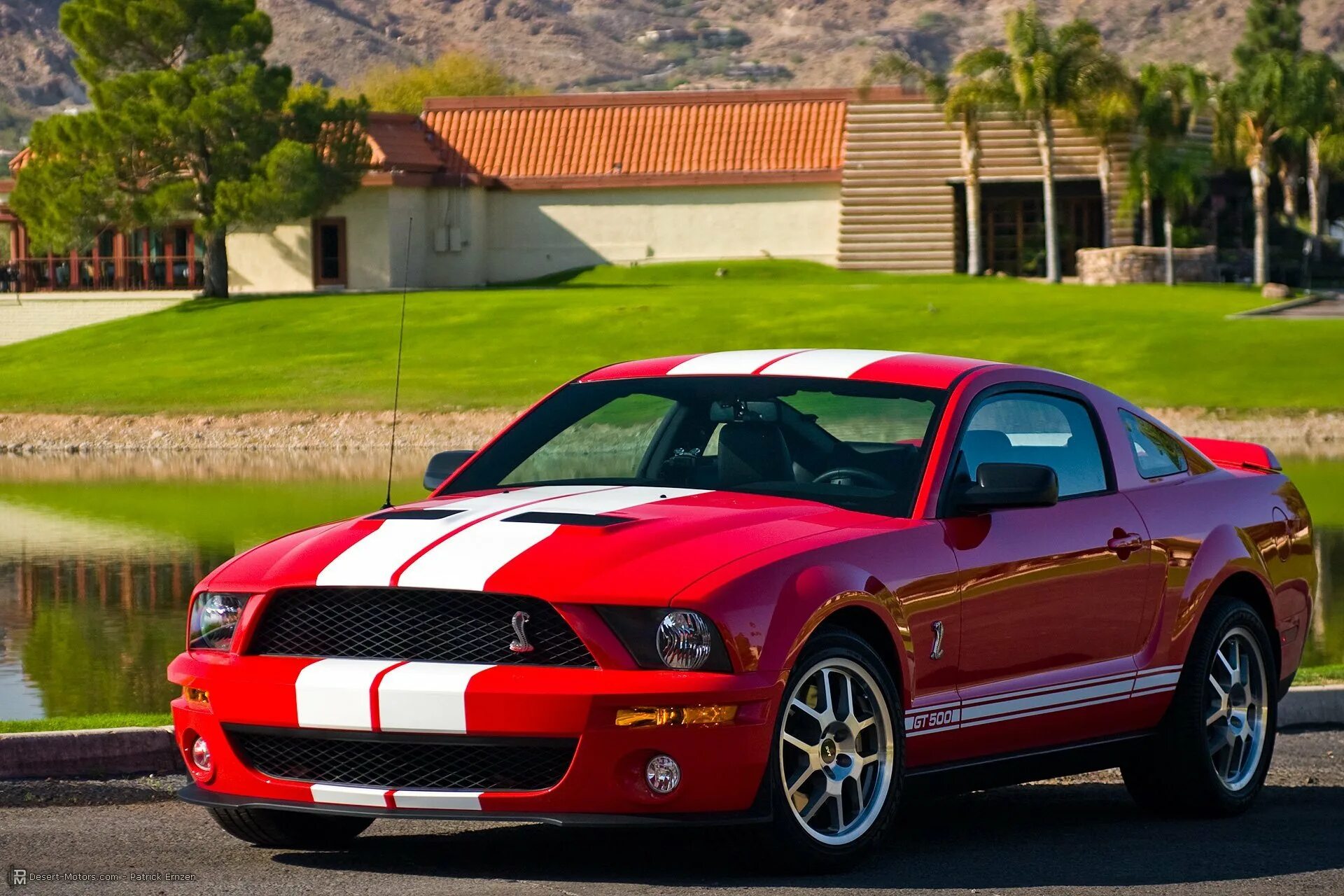 Ford shelby gt500. Форд мустанг шелби gt500cr. 2012 ford mustang shelby gt500 svt. Форд мустанг gt 500. Форд мустанг джи ти 500.