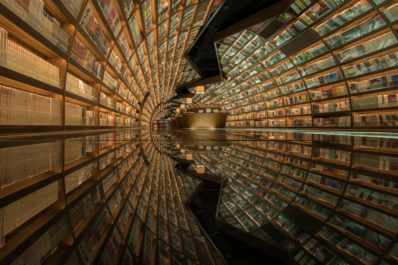 Книга хранилище знаний. Книжный магазин zhongshuge-hangzhou. Хранилище книг в библиотеке. Книга ищет читателя картинки. Библиотека с греческого означает.