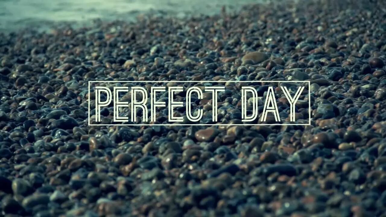 Perfect Day. Группа perfect Day. Lou Reed perfect Day на игле. Perfect Day песня.