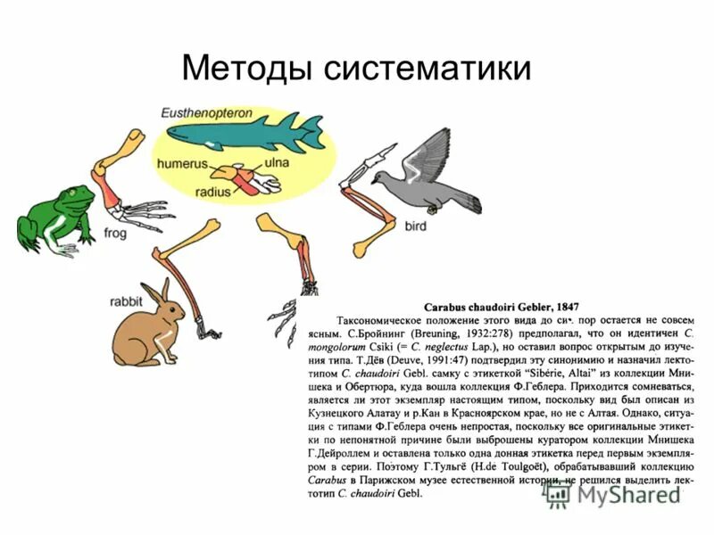 методы систематики