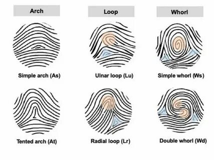 Fingerprint releasing