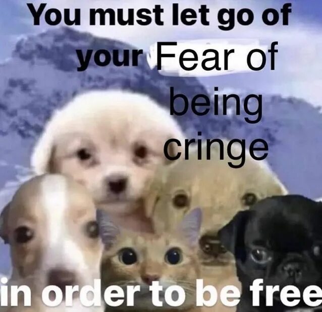 You must let go. You must let go