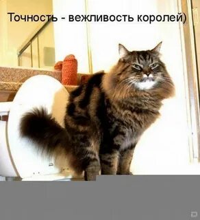 Смешные картинки с подписями