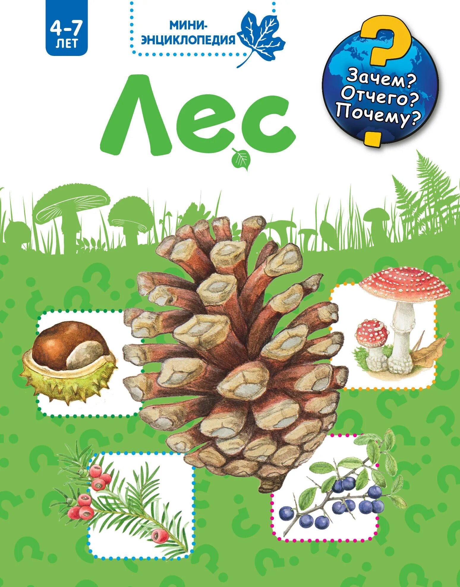 Изучаем лесных