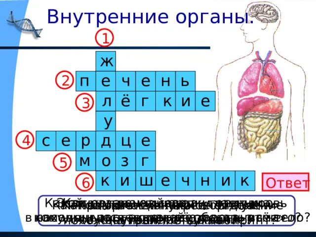 Скачать презентацию на тему kratkosrochnyy ekologicheskiy nravstvenno - patrioti