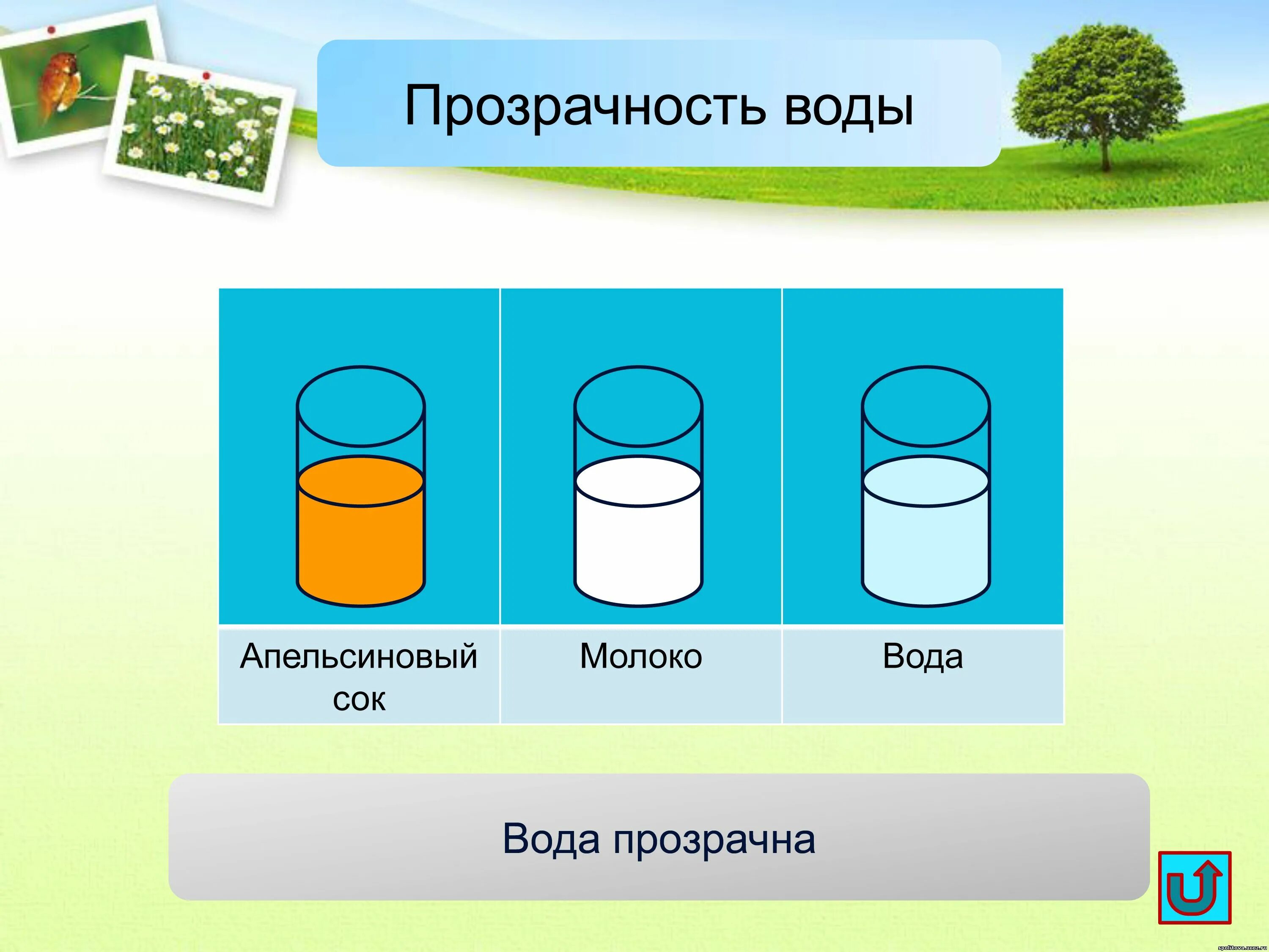 Почему вода не имеет. Прозрачная и непрозрачная вода. Вода бесцветная. Вода прозрачная или бесцветная. Вода прозрачная опыт.