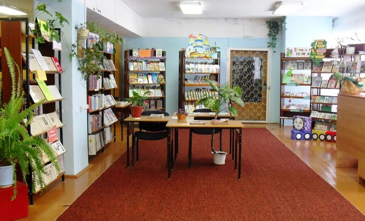 Библиотека в солнечном спб. Поселок беркакит. Огибнянскоя поселенческая библиотека. Библиотеки поселений. Молодежный.