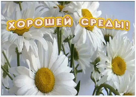 Доброго летнего утра и хорошей среды