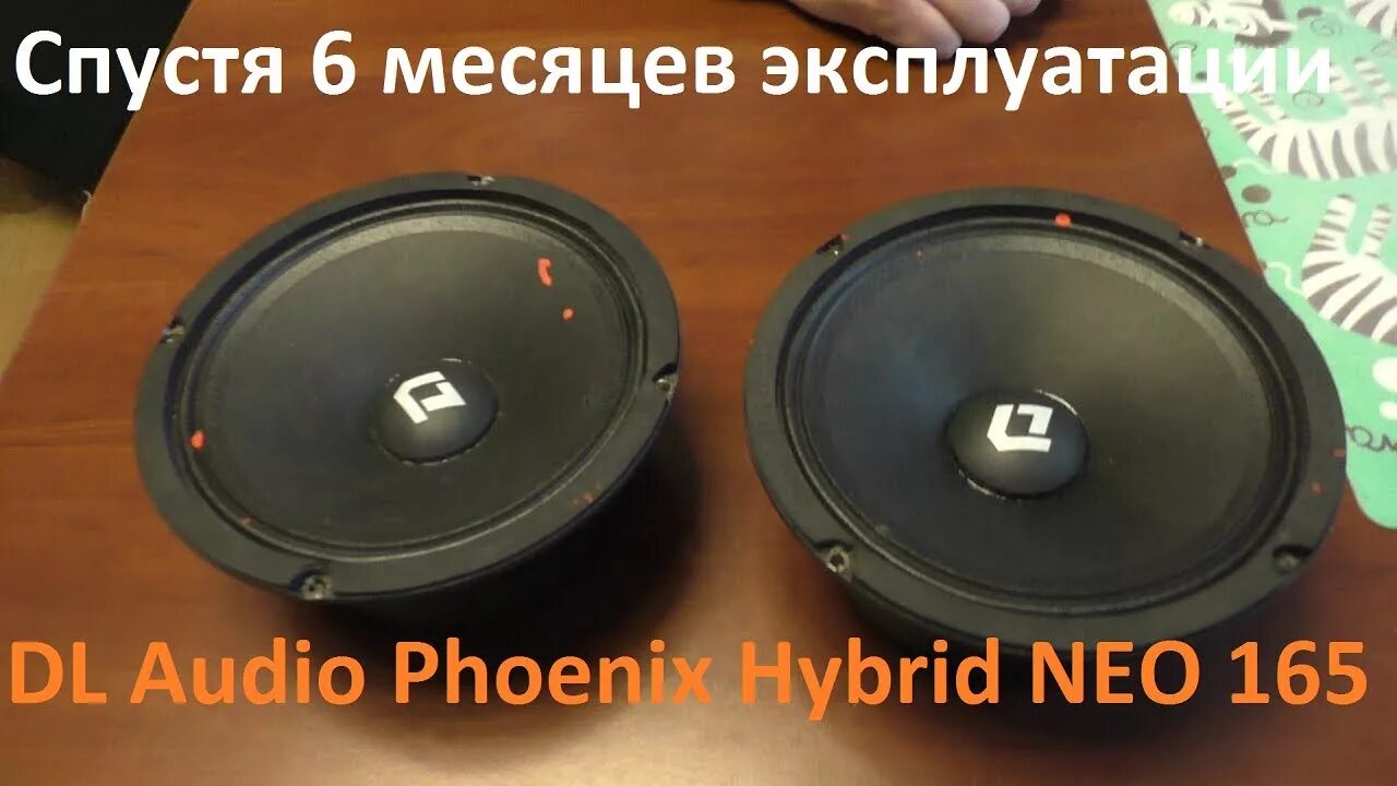 Dl phoenix neo. Dl audio neo 165. hybrid neo 165. для аудио нео 165. gryphon pro 165 neo.