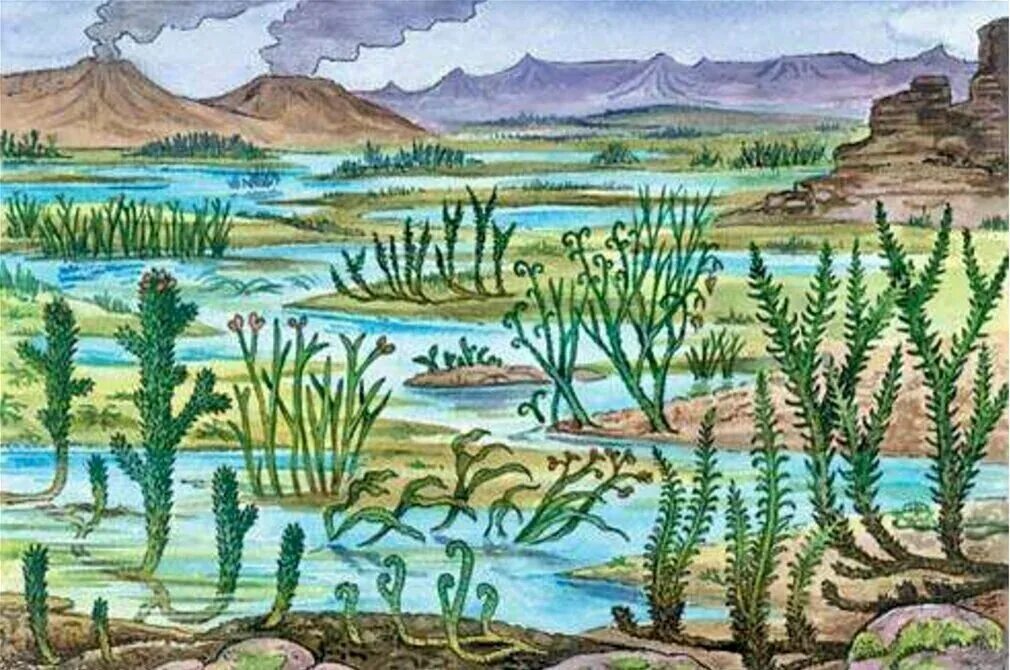 Силурийский период псилофиты. Девонский период палеозойской эры. Первые на воде и на суше. Гидрофибра. Древние амфибии стегоцефалы.