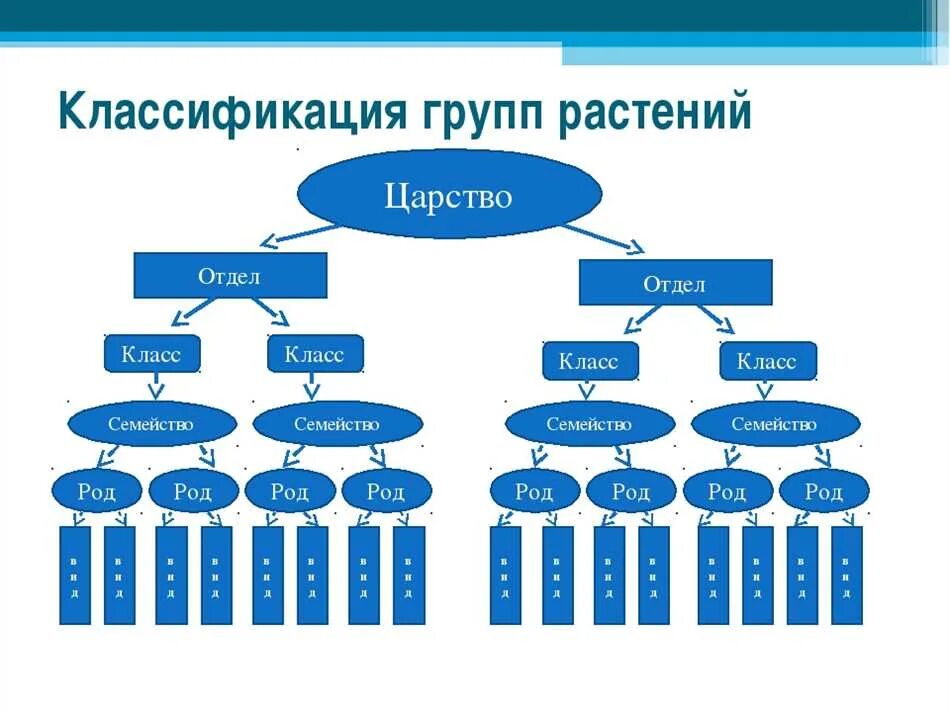 Элементы и структура порядка