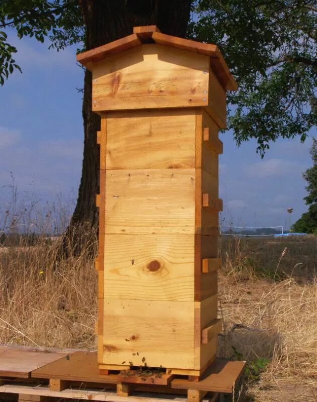 Сапетка улей для пчел. Медоносные пчёлы ульи. Безрамочный улей варре. Про улей. Про улей.