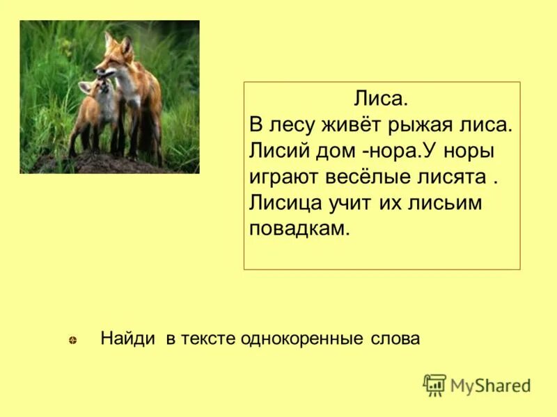 рыжий лис вк. рыжий лис игра в вк. лиса с задачами. какие задания лиса. стихи про животных для детей 4 класс.