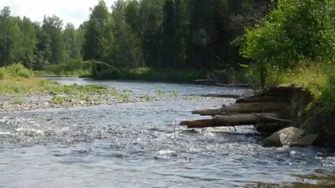 Северные реки видео