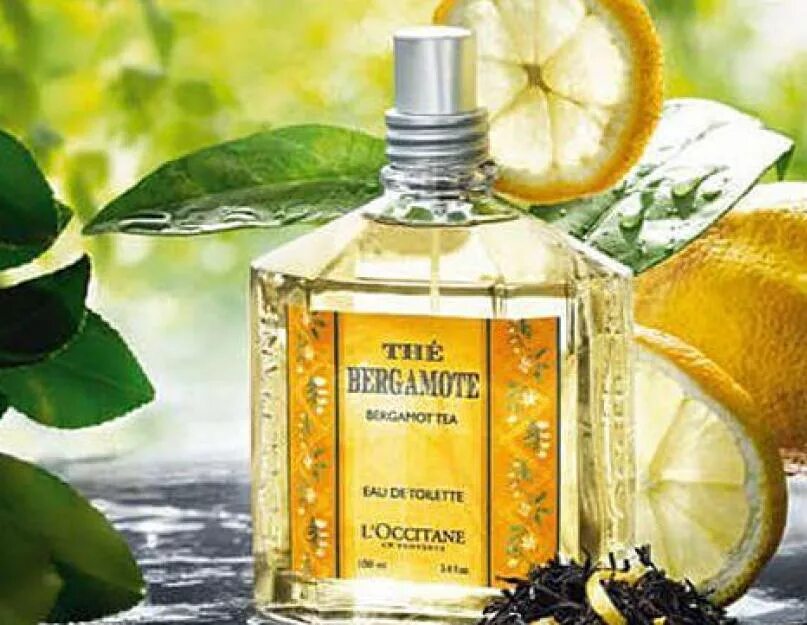 Ароматы с бергамотом. Loccitane бергамот туалетная вода. духи с бергамотом и цитрусом. бергамот в парфюмерии. духи с запахом бергамота.