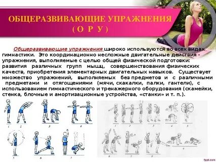Упражнения вводной гимнастики