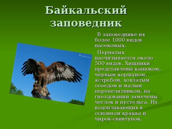 Заповедники и парки" экологический час 2024, Буинский район - дата и место прове