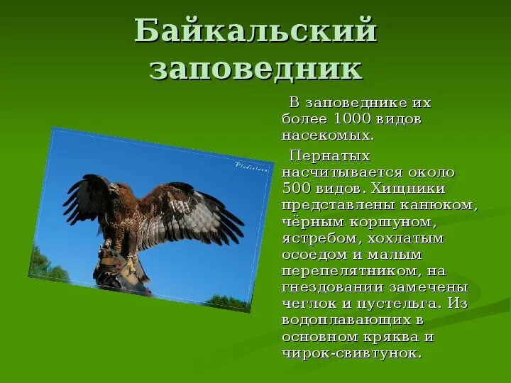 Сообщение про заповедник кратко. Рассказ о заповеднике России. Заповедники презентация. Доклад о заповеднике. Заповедники России презентация.