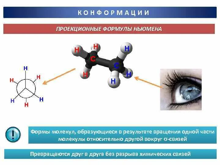 Молекула образуется в результате взаимодействия. Проекционные формулы Ньюмена. Конформации в проекциях Ньюмена. Формула Ньюмена конформации. Этанол проекция Ньюмена.