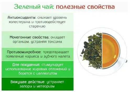 Песни пей чай зеленый. Характеристика зеленого чая. Зелёный чай польза. Полезные свойства зелёного чая. Лист от зеленого чая.