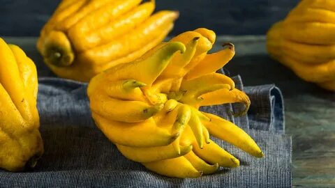 Fruit out