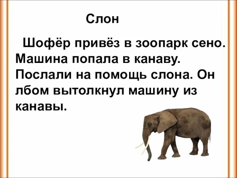 Слоновое слово. Изложение про слона. Описание слона. Предложение со словом слон. Предложение про слона 1 класс.