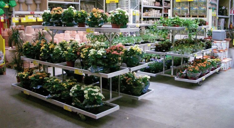 3 садовых центра. садовый центр зеленый остров псков. 3 дачная 1 саратов. дизайн садового центра. вывеска центр.