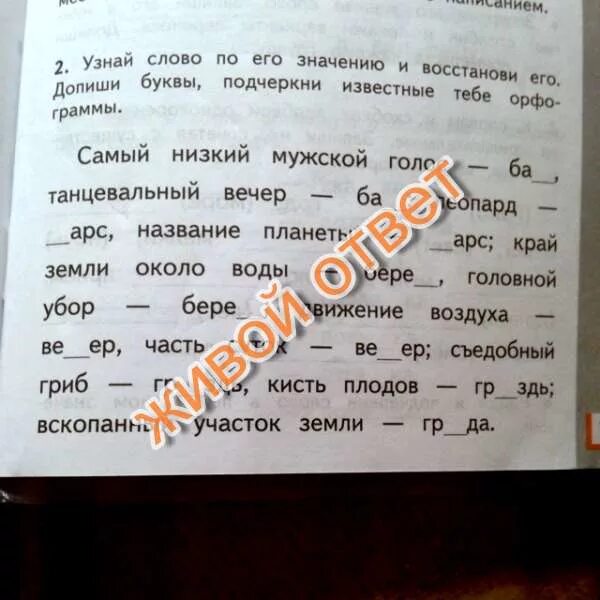 Вот воришка нажал на задвижку 2. Проверочное слово к слову воришка. воришка проверочное слово ш. какое проверочное слово у слова ворижка. воришки проверочное слово проверить ш.