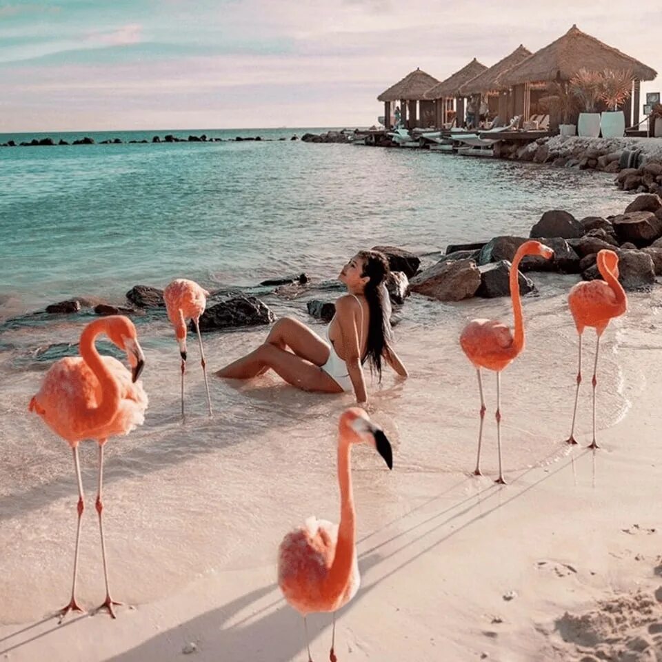 Доминиканская республика аруба. Пунта Кана. Кайо Коко. Аруба Фламинго Бич. Доминикана Пунта Кана Фламинго.