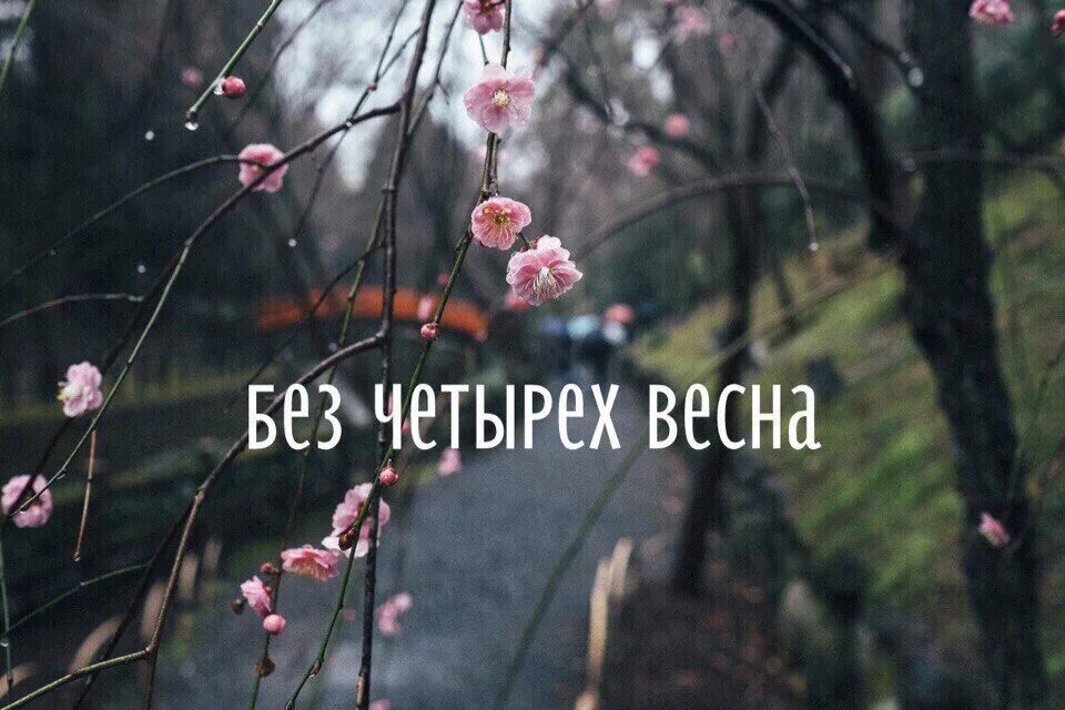 Помню как то весною