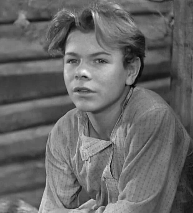 Алеша пешков детство. Горькое детство алеши пешкова. Алеша пешков из повести детство. Характеристика алёши из рассказа детство максима горького. Повесть детство льва николаевича толстого.