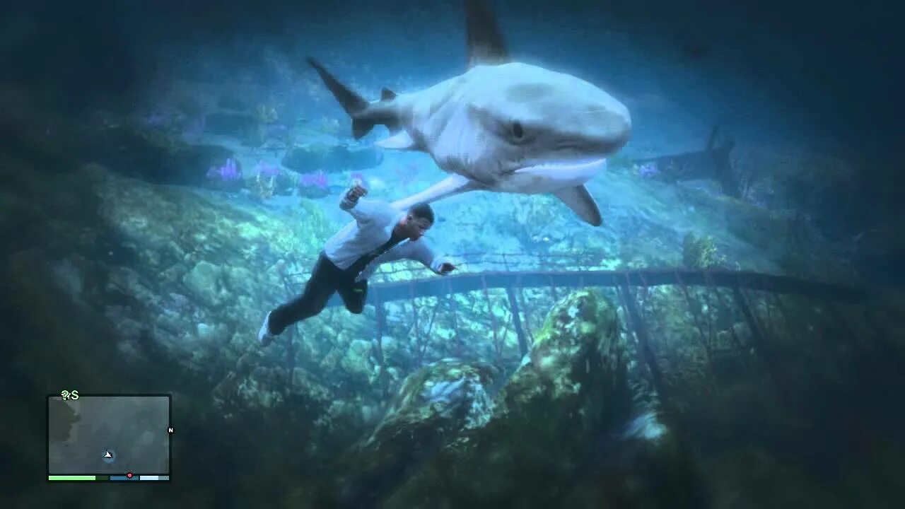 Кто скрывается под маской акулы в 5. Акула ГТА 5. Out of your depth. ___Shark.v. Mouse Attack Shark v3.