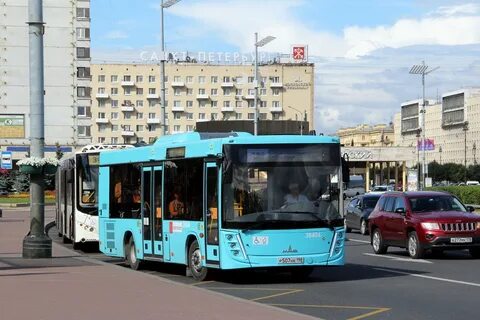 Автобус 206 спб