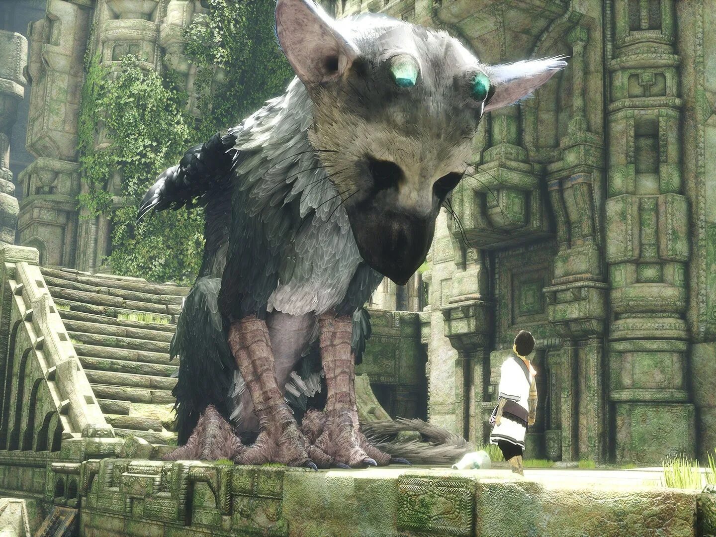 Трико песни. The last Guardian. The last Guardian ps4. Трико ласт Гардиан. Трико the last Guardian.