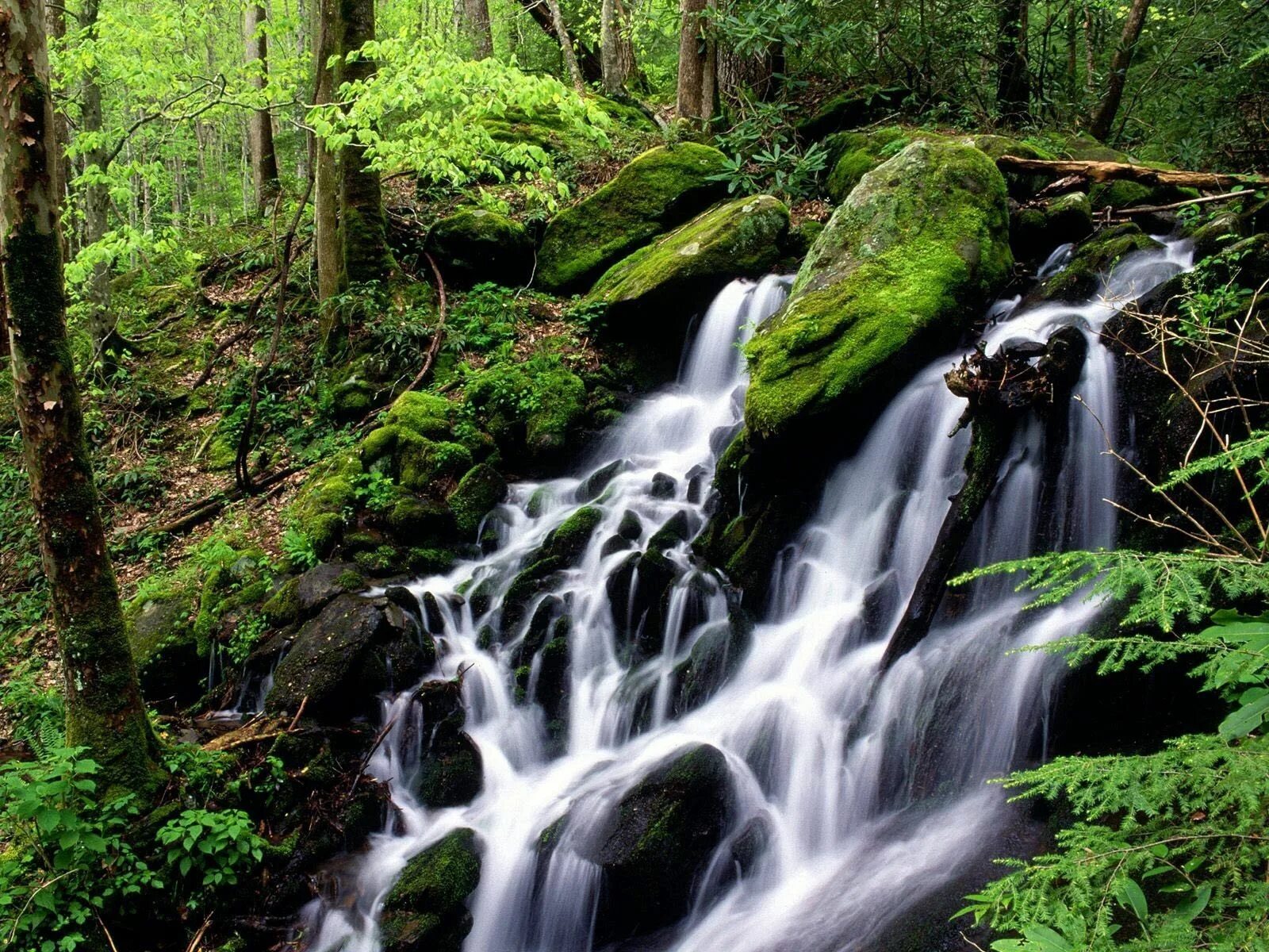Видео со звуками природы. Природа. Водопад. Природа водопад. Лесной водопад.