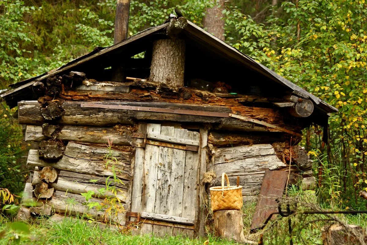 боровецкий лес дом отшельника. домик в лесу. заимка охотника в тайге. фотосессия в шалаше. дик пренеке аляска.