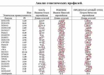 Виды теста днк