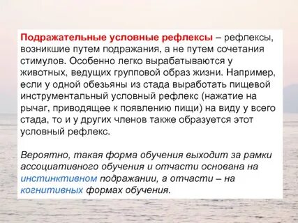 Условно рефлекторное поведение