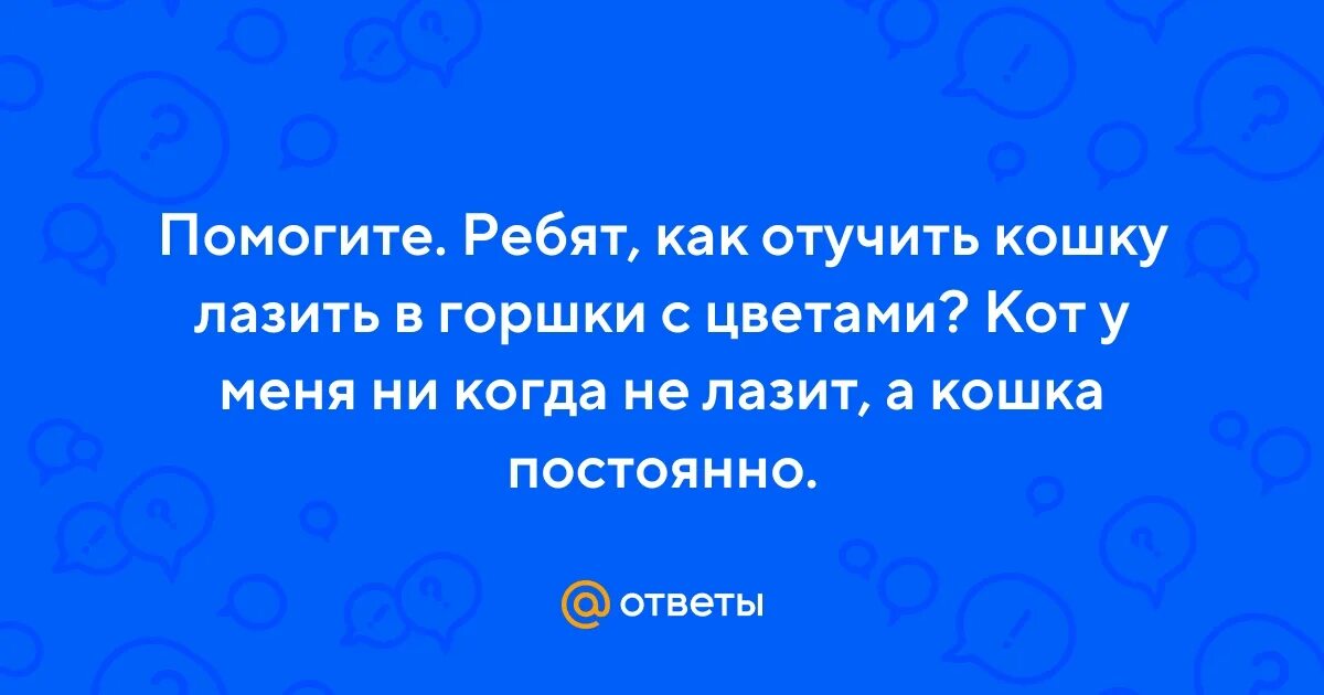 Как отучить кошку залазить. Как отучить кошку залазить