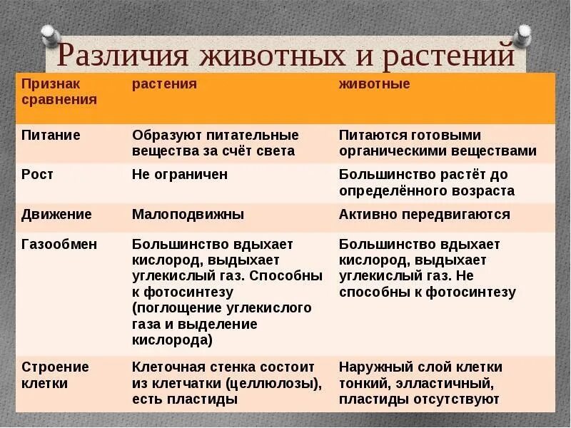 Отличительные особенности растительной. Черты сходства и различия животных и растений. Различия растений и животных таблица. Сходства и различия между животными и растениями таблицу. Сходства между растениями и животными таблица.