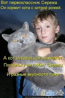Кот сережа