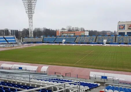 Ярославль поле