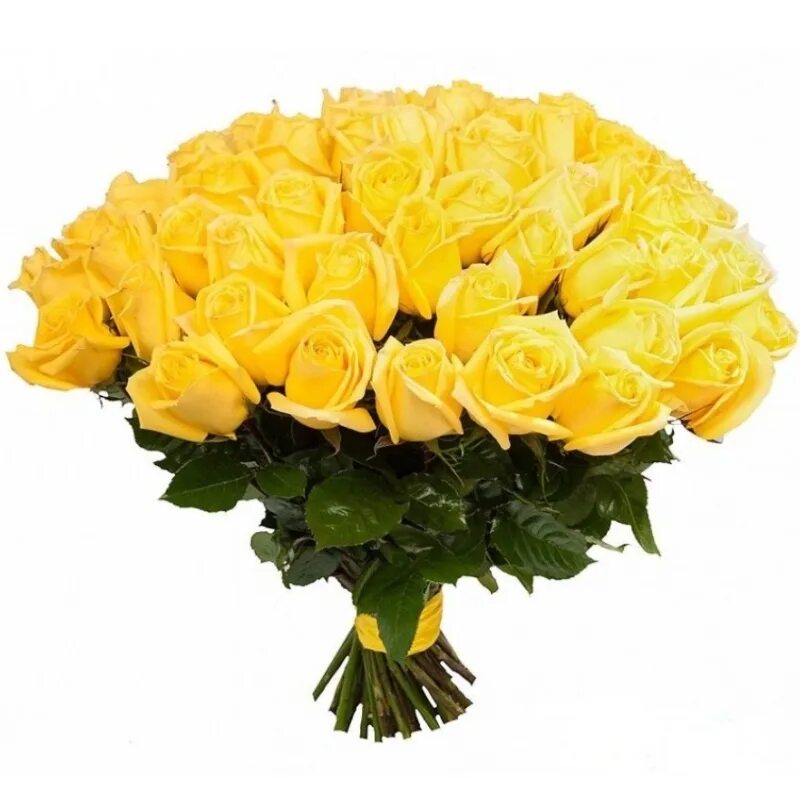 Огромные желтые букеты. Букет из 51 желтой розы. Шикарный букет желтых роз.