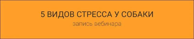 Ребята запись. Дети картинки для детей на прозрачном фоне. Фотосессия в парке на выпускной альбом. Здравствуйте ребята. Ребята запись.