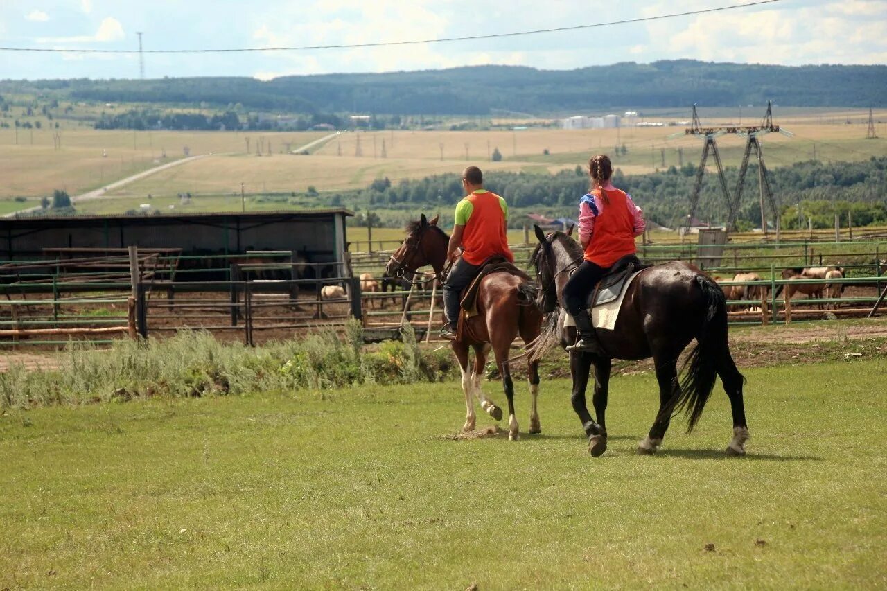 конный двор междуреченск. конюшня красный бор. конный двор рождествено. конный двор наро-фоминск. конный дворик.