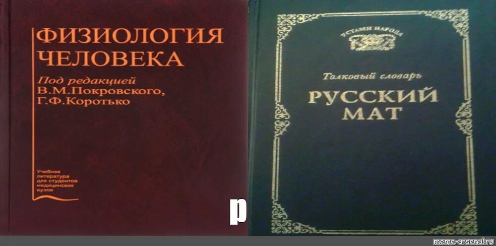 Словарь русского мата книга. Русский мат Толковый словарь. Книга русский мат Толковый словарь. Русский мат обложка книги. Русский мат ахметова