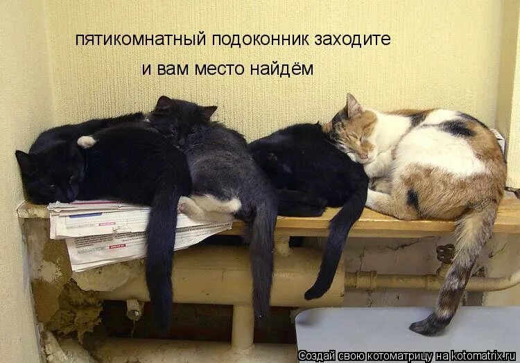 Потянем сильнее. Потянем сильнее. Потянем сильнее. Будь сильным. Потянем сильнее.